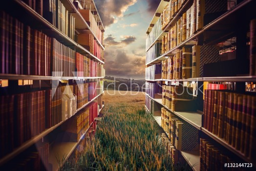 Picture of Composite image of close up of a bookshelf 3d